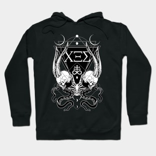 ΧΞΣ (666) the Number of the Beast Hoodie